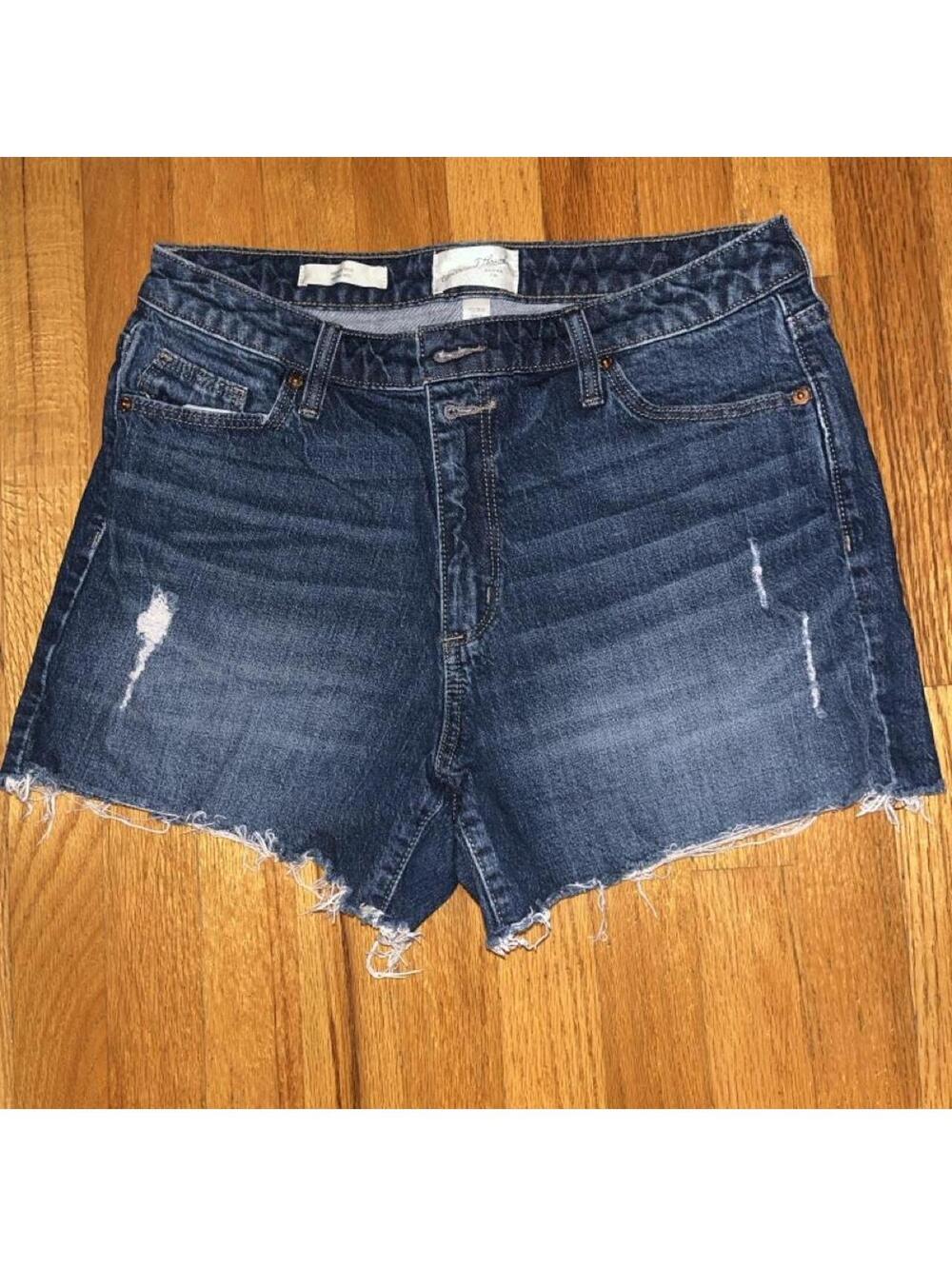 Universal Thread Women's Blue and Navy Shorts